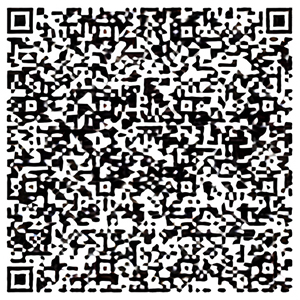 QR Code zur Medical Translation